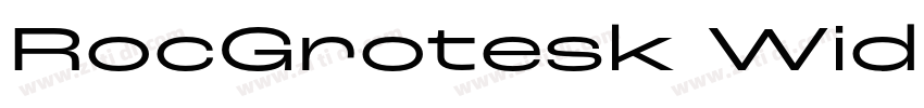 RocGrotesk WideBold字体转换